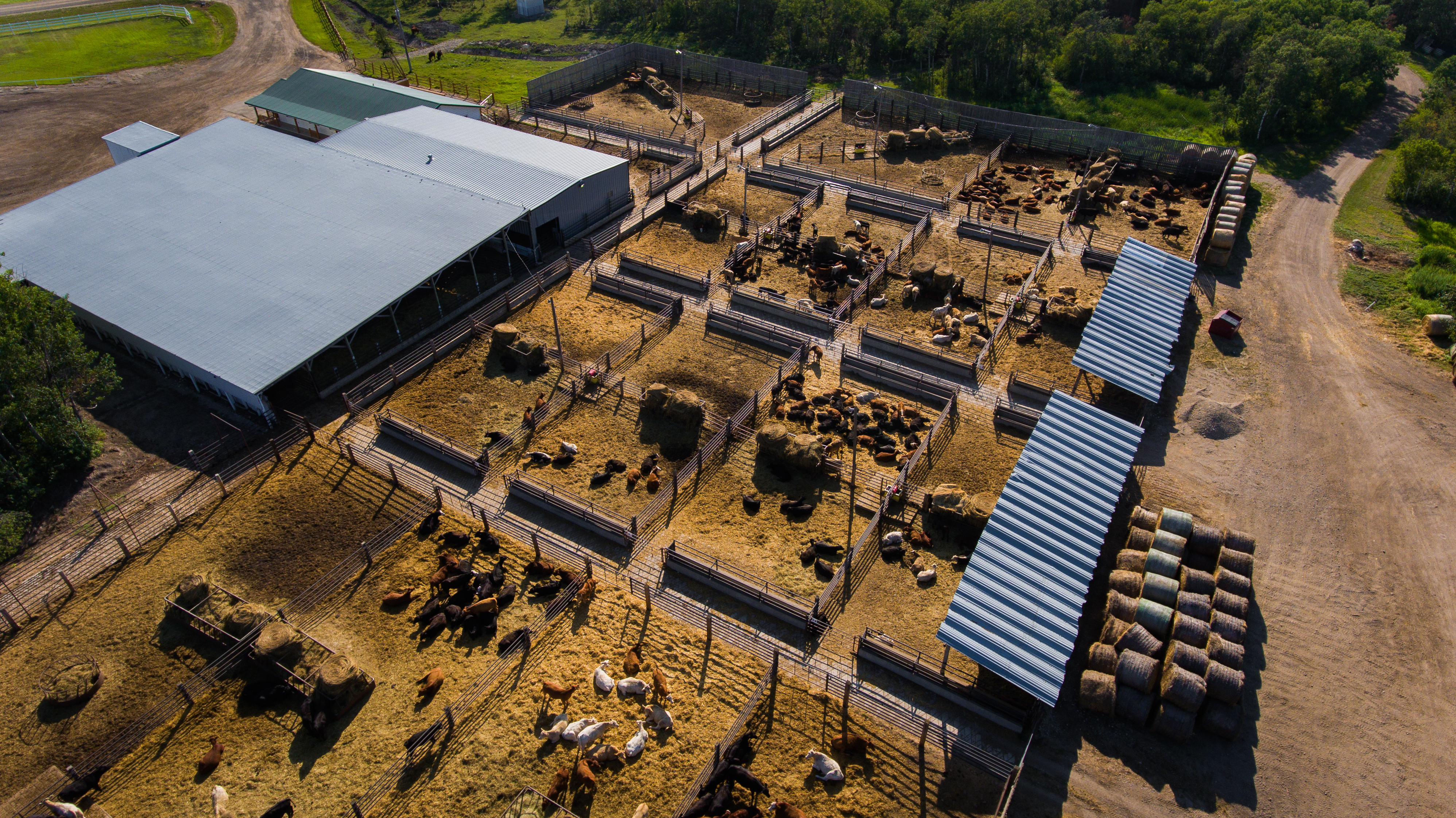 Aerial view of yard