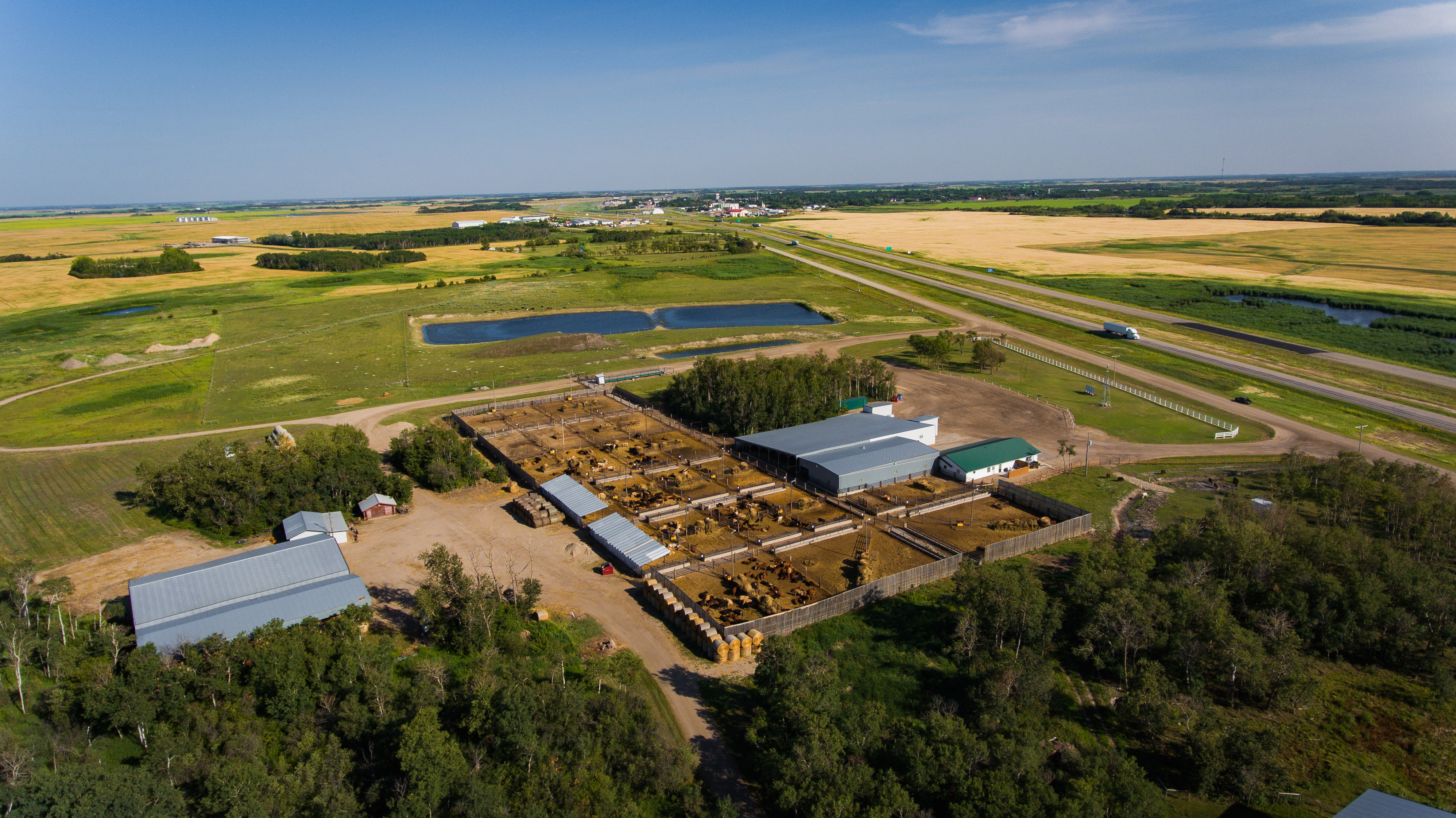Prairie Livestock yard