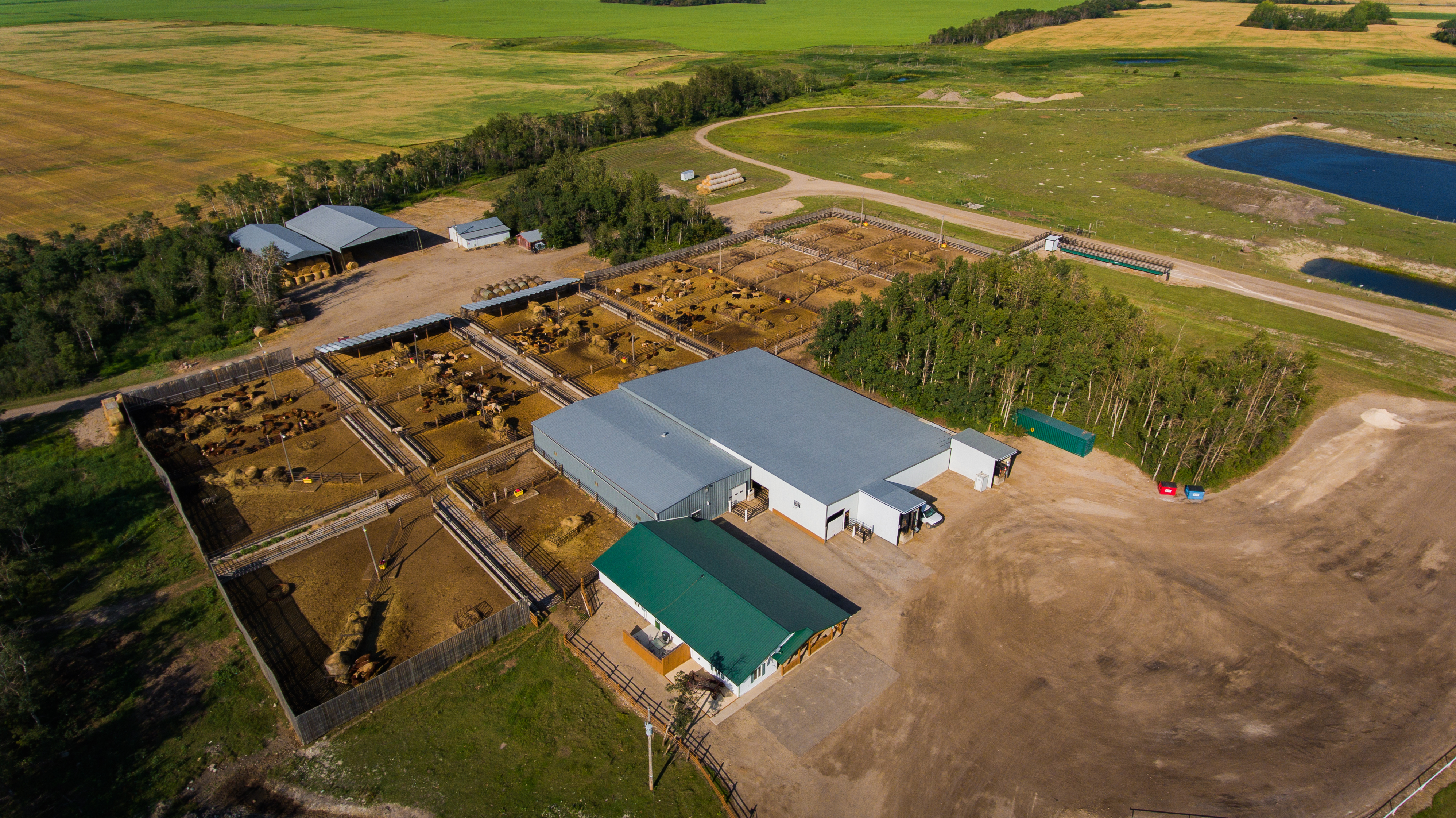 Yard facilities